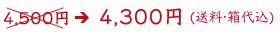 4,300�~(�����E���㍞��)