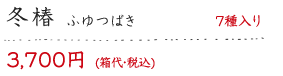 冬椿 7種入り